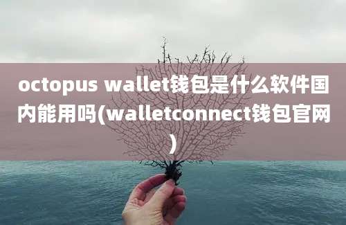 octopus wallet钱包是什么软件国内能用吗(walletconnect钱包官网)