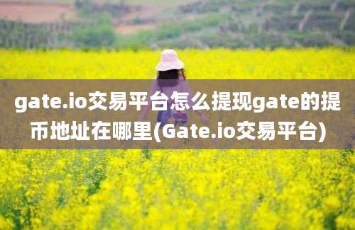 gate.io交易平台怎么提现gate的提币地址在哪里(Gate.io交易平台)