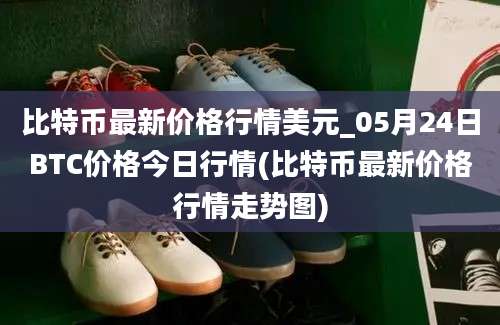 比特币最新价格行情美元_05月24日BTC价格今日行情(比特币最新价格行情走势图)