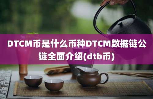 DTCM币是什么币种DTCM数据链公链全面介绍(dtb币)