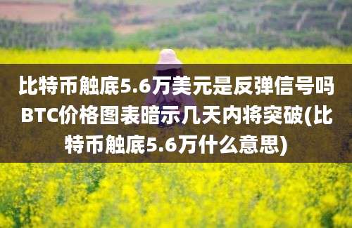 比特币触底5.6万美元是反弹信号吗BTC价格图表暗示几天内将突破(比特币触底5.6万什么意思)