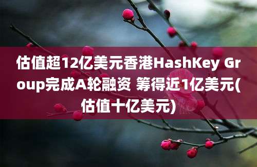 估值超12亿美元香港HashKey Group完成A轮融资 筹得近1亿美元(估值十亿美元)