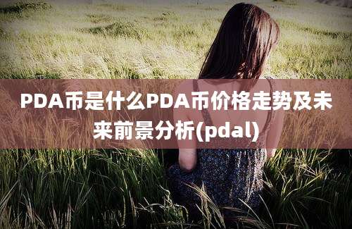 PDA币是什么PDA币价格走势及未来前景分析(pdal)