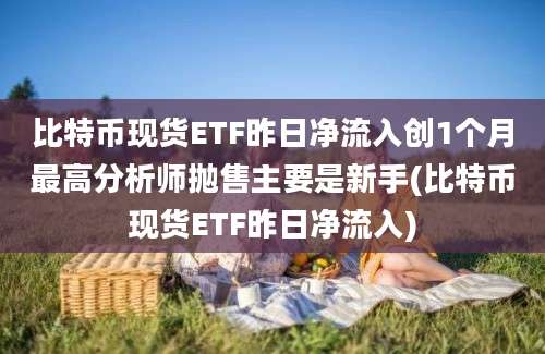 比特币现货ETF昨日净流入创1个月最高分析师抛售主要是新手(比特币现货ETF昨日净流入)