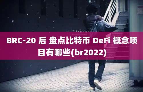 BRC-20 后 盘点比特币 DeFi 概念项目有哪些(br2022)