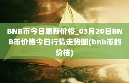 BNB币今日最新价格_03月20日BNB币价格今日行情走势图(bnb币的价格)