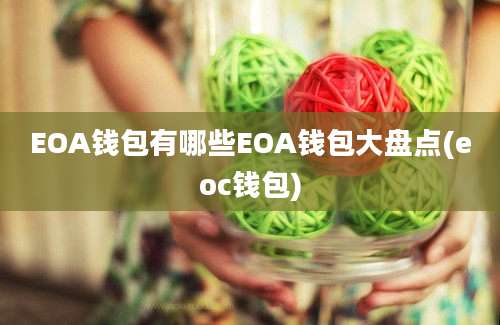 EOA钱包有哪些EOA钱包大盘点(eoc钱包)