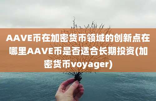 AAVE币在加密货币领域的创新点在哪里AAVE币是否适合长期投资(加密货币voyager)