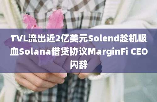 TVL流出近2亿美元Solend趁机吸血Solana借贷协议MarginFi CEO闪辞