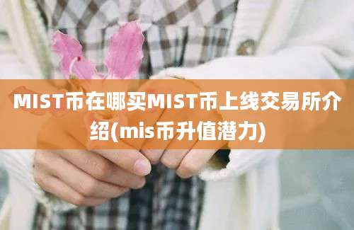 MIST币在哪买MIST币上线交易所介绍(mis币升值潜力)