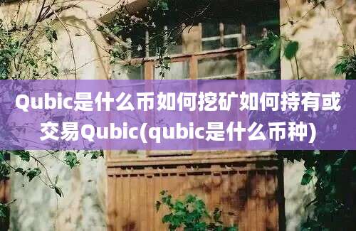 Qubic是什么币如何挖矿如何持有或交易Qubic(qubic是什么币种)