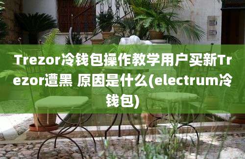 Trezor冷钱包操作教学用户买新Trezor遭黑 原因是什么(electrum冷钱包)