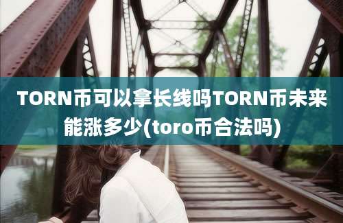 TORN币可以拿长线吗TORN币未来能涨多少(toro币合法吗)