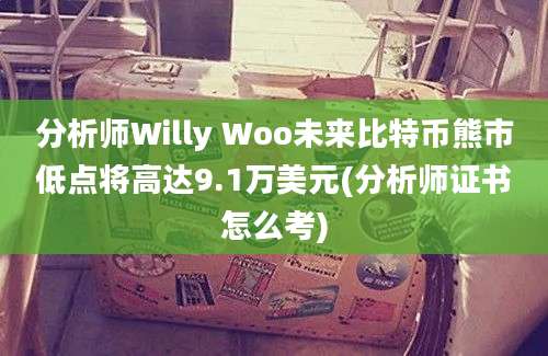 分析师Willy Woo未来比特币熊市低点将高达9.1万美元(分析师证书怎么考)