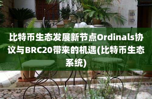 比特币生态发展新节点Ordinals协议与BRC20带来的机遇(比特币生态系统)