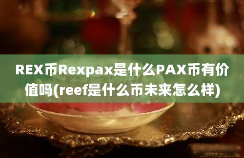 REX币Rexpax是什么PAX币有价值吗(reef是什么币未来怎么样)