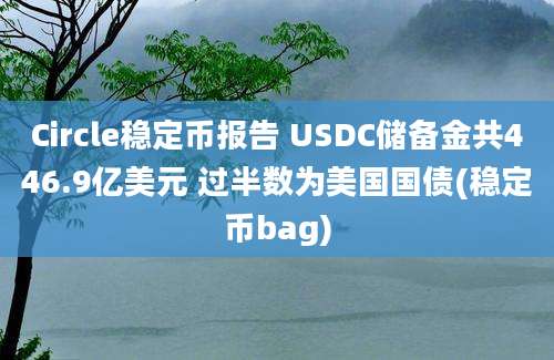 Circle稳定币报告 USDC储备金共446.9亿美元 过半数为美国国债(稳定币bag)