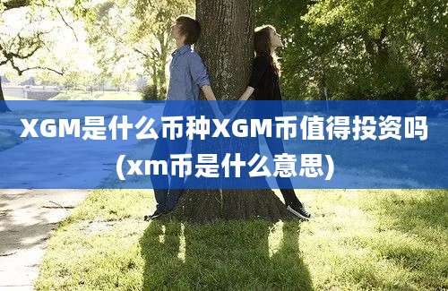 XGM是什么币种XGM币值得投资吗(xm币是什么意思)