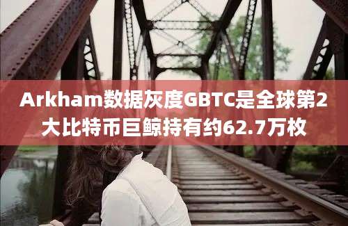 Arkham数据灰度GBTC是全球第2大比特币巨鲸持有约62.7万枚