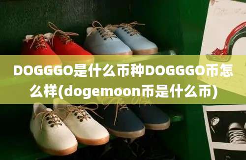 DOGGGO是什么币种DOGGGO币怎么样(dogemoon币是什么币)