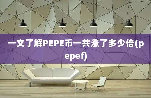 一文了解PEPE币一共涨了多少倍(pepef)