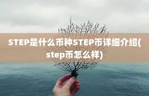 STEP是什么币种STEP币详细介绍(step币怎么样)