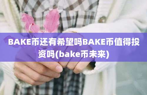 BAKE币还有希望吗BAKE币值得投资吗(bake币未来)