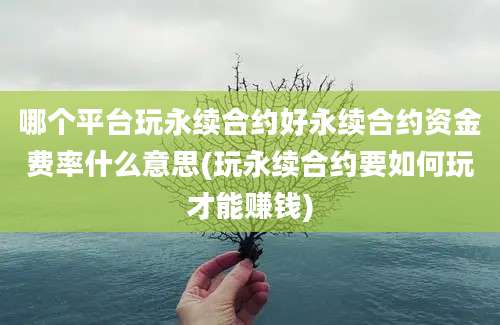 哪个平台玩永续合约好永续合约资金费率什么意思(玩永续合约要如何玩才能赚钱)