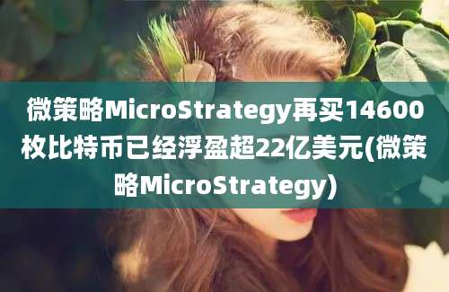 微策略MicroStrategy再买14600枚比特币已经浮盈超22亿美元(微策略MicroStrategy)