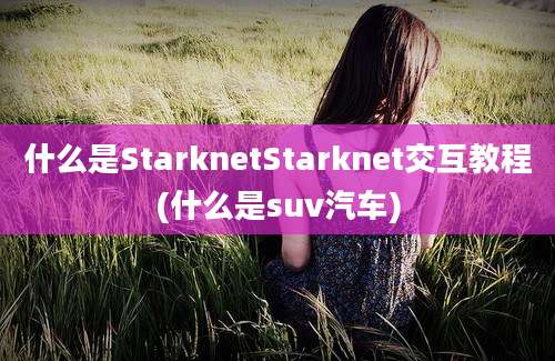 什么是StarknetStarknet交互教程(什么是suv汽车)