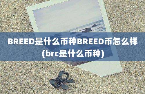 BREED是什么币种BREED币怎么样(brc是什么币种)