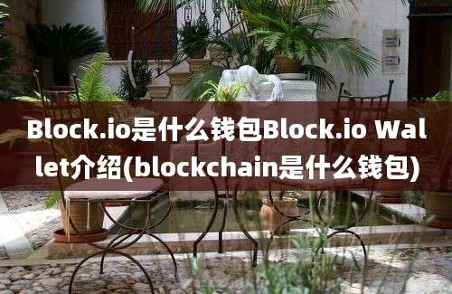 Block.io是什么钱包Block.io Wallet介绍(blockchain是什么钱包)