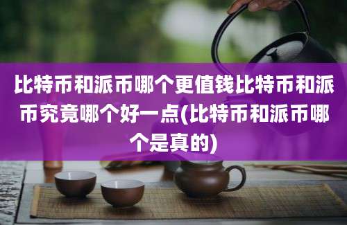 比特币和派币哪个更值钱比特币和派币究竟哪个好一点(比特币和派币哪个是真的)