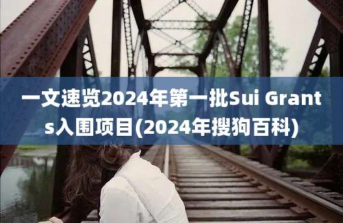 一文速览2024年第一批Sui Grants入围项目(2024年搜狗百科)