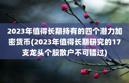 2023年值得长期持有的四个潜力加密货币(2023年值得长期研究的17支龙头个股散户不可错过)