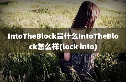 IntoTheBlock是什么IntoTheBlock怎么样(lock into)