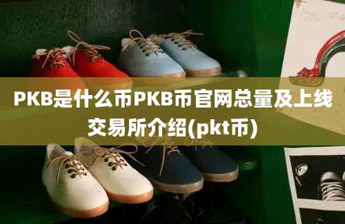 PKB是什么币PKB币官网总量及上线交易所介绍(pkt币)