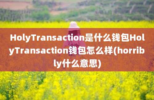 HolyTransaction是什么钱包HolyTransaction钱包怎么样(horribly什么意思)