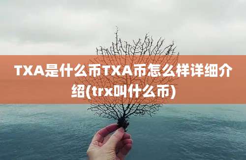 TXA是什么币TXA币怎么样详细介绍(trx叫什么币)