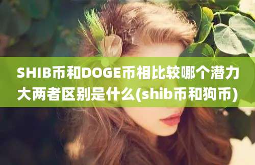 SHIB币和DOGE币相比较哪个潜力大两者区别是什么(shib币和狗币)