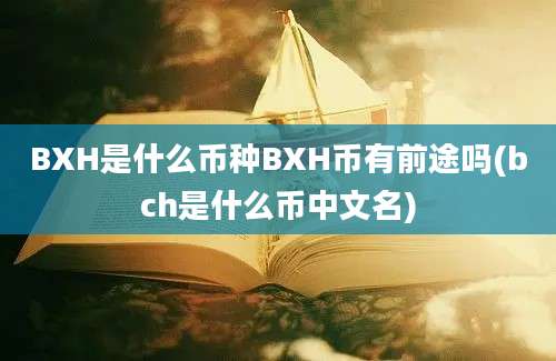 BXH是什么币种BXH币有前途吗(bch是什么币中文名)