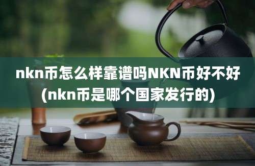 nkn币怎么样靠谱吗NKN币好不好(nkn币是哪个国家发行的)