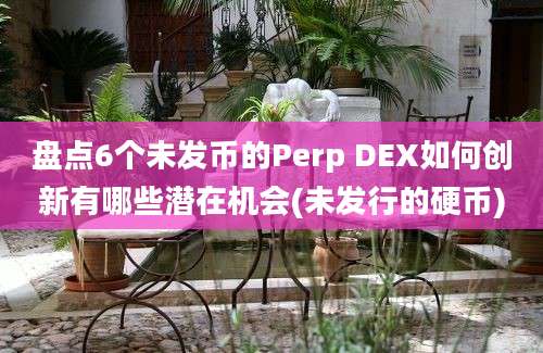 盘点6个未发币的Perp DEX如何创新有哪些潜在机会(未发行的硬币)