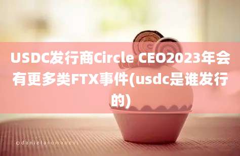 USDC发行商Circle CEO2023年会有更多类FTX事件(usdc是谁发行的)