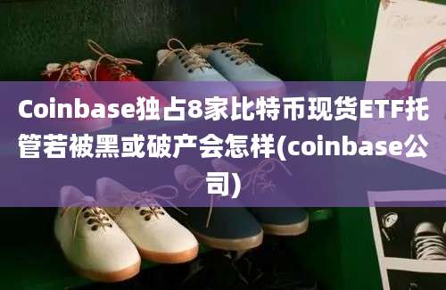 Coinbase独占8家比特币现货ETF托管若被黑或破产会怎样(coinbase公司)