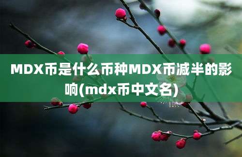 MDX币是什么币种MDX币减半的影响(mdx币中文名)