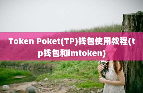 Token Poket(TP)钱包使用教程(tp钱包和imtoken)