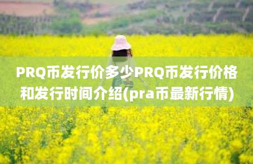 PRQ币发行价多少PRQ币发行价格和发行时间介绍(pra币最新行情)