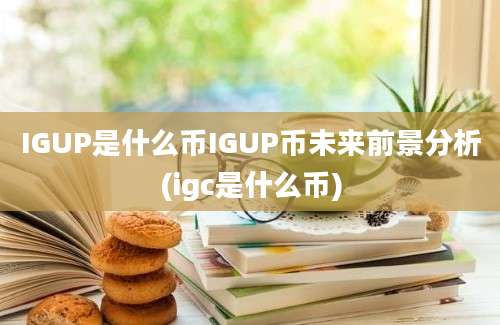 IGUP是什么币IGUP币未来前景分析(igc是什么币)