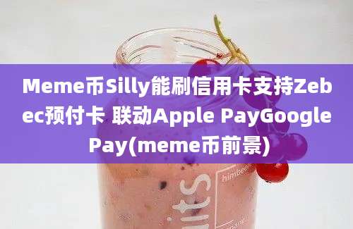 Meme币Silly能刷信用卡支持Zebec预付卡 联动Apple PayGoogle Pay(meme币前景)